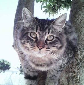 Meet your Posher, Jasmin